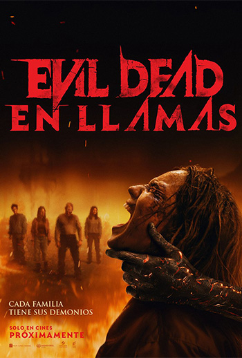 Poster Filme